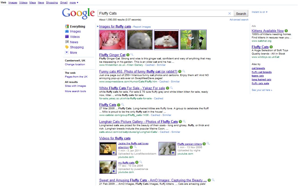Google search results for 'fluffy cats'