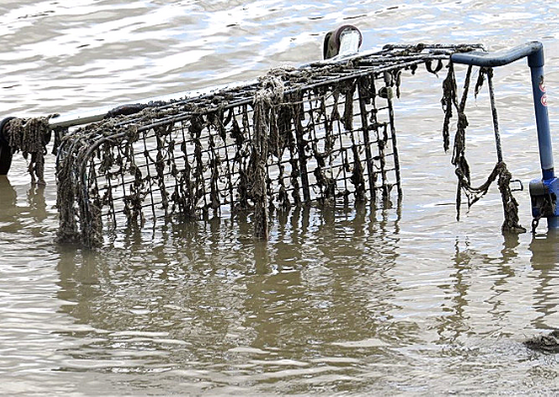 Shopping trolley dumped in the River Thames at Deptford