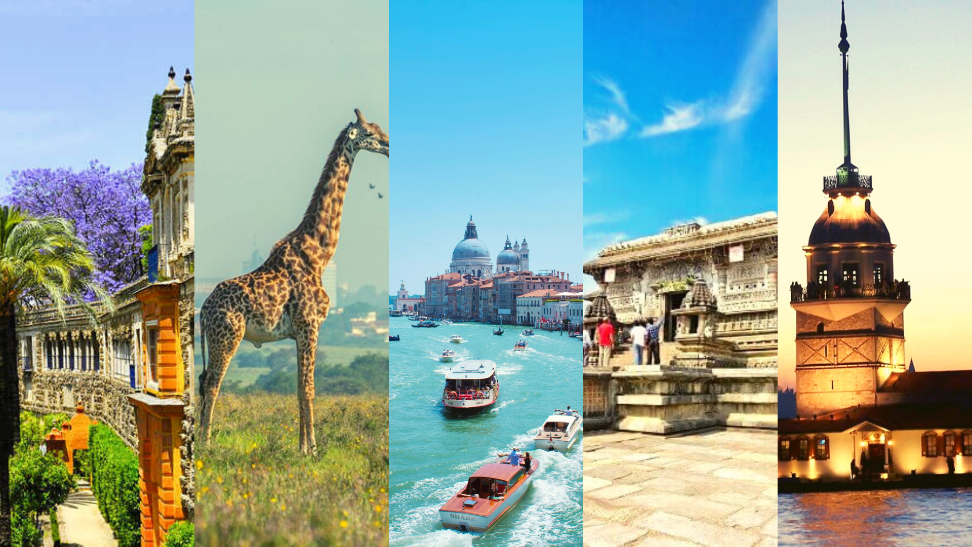 Food travels