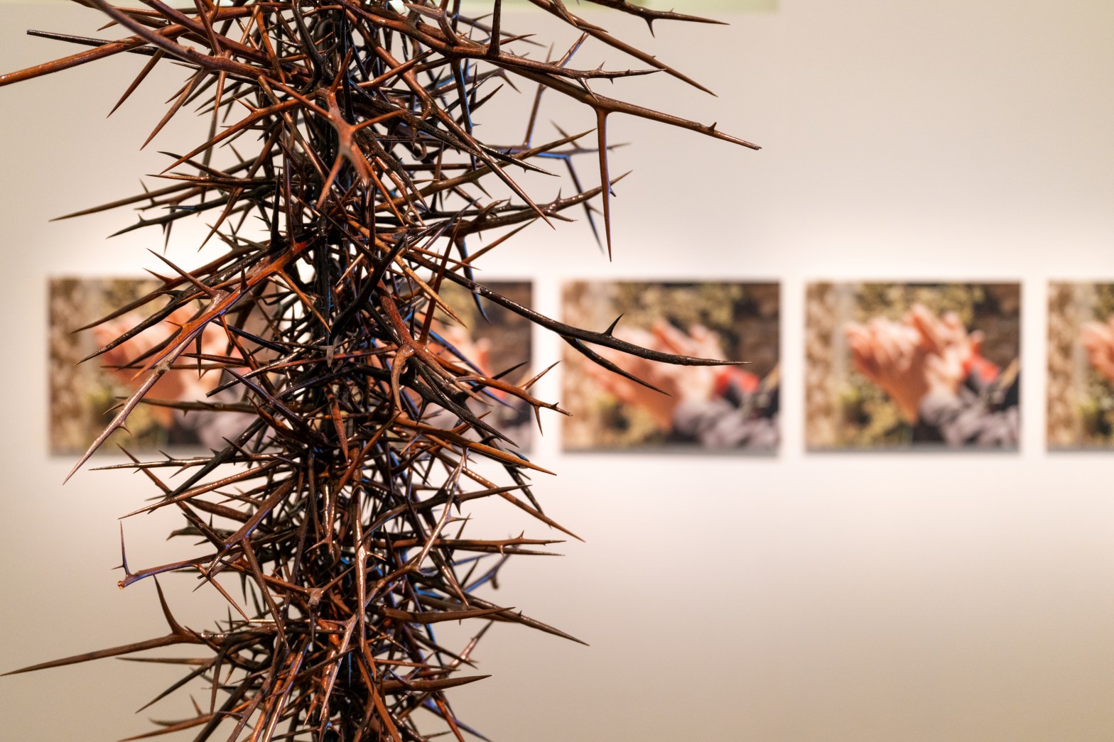 Under the Oak Tree, by Iman Jabrah, is a sculpture made of an oiled black tow chain into which honey locust thorns have been embedded to create a hanging installation that looks a like a wind chime. It is embedded in soil. The inspiration for the sculpture came from burial mounds and wind chimes which the artist saw in China, where death renders people anonymous.